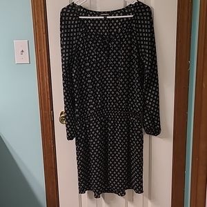 Express Long Sleeve dress